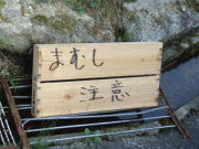 まむし注意