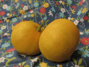 䖼cł͂Ȃǁg݂hiNbNŊgj