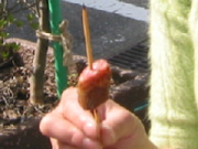 ほら