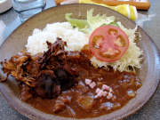 奥美濃カレー…(クリックで一応拡大)